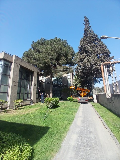 Çeşme Sepetli Vinç Kiralama | Profesyonel Vinç & Platform Hizmeti