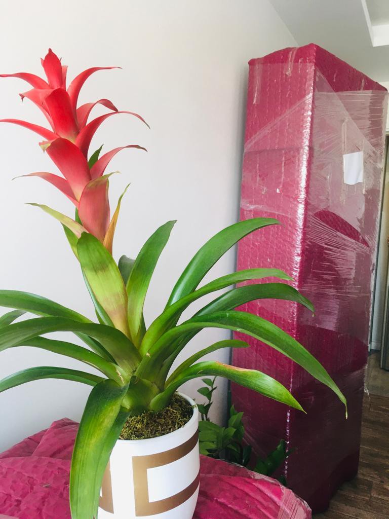 İzmir Parça Eşya Taşıma Hizmetleri